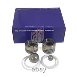 115CC Pneumatic Airless Spray Pump Repair Kit 25D133 25D140 for Xtreme X35 X55