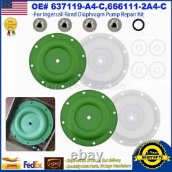 637119-A4-C For Ingersoll Rand Diaphragm Pump Repair Kit-666111-2A4-C New In Box