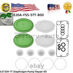 637309-TT Pump Repair Kit E20A-FSS-STT-B00 for Ingersoll Rand ARO Diaphragm Pump