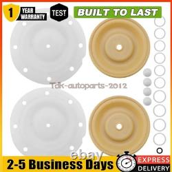66605H-244 Diaphragm Pump Repair Kit for 637140-44 Ingersoll Rand ARO Pump