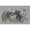 Aro 637434 Pump Repair Kit, Air Motor 4cwj3