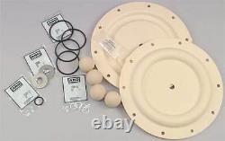 ARO Diaphragm Pump Repair Kit, PUR, For 5XA57 5XB22