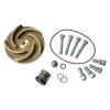 Dayton 21tg54 Pump Repair Kit, For 2zwr9a, 2zwt1a 21tg54