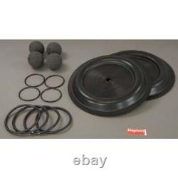 Dayton 22A616 Pump Repair Kit, Fluid, 2, For 3Hjw6