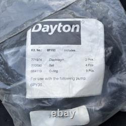 Dayton 6PY60 Diaphragm Pump Repair Kit (For use with pump 6PY36)