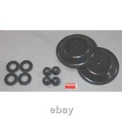 Dayton 6Py69 Pump Repair Kit, Fluid