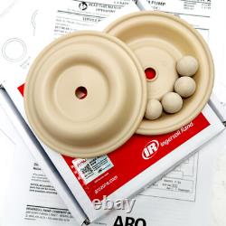 Diaphragm Pump Repair Kit Includes Balls Diaphragms Seals for Aro 637140-EB