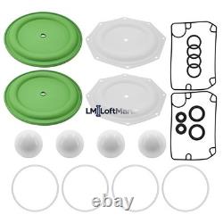 Diaphram Pump Repair Kit 637309-TT fit Ingersoll Rand ARO Diaphragm Pump PD20