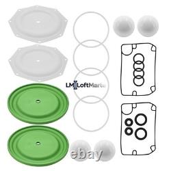 Diaphram Pump Repair Kit 637309-TT fit Ingersoll Rand ARO Diaphragm Pump PD20