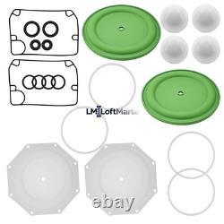Diaphram Pump Repair Kit 637309-TT fit Ingersoll Rand ARO Diaphragm Pump PD20