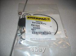 ENERPAC, P392E024K, OEM REPAIR KIT, For P392E24 Hand Pump Only