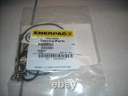 ENERPAC, P392E024K, OEM REPAIR KIT, For P392E24 Hand Pump Only