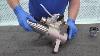How To Rebuild A Graco Xtreme Lower