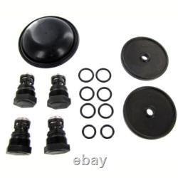 Hypro D252 Diaphragm and Valve Pump Repair Kit D252REPAIRKIT