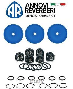 Hypro D403 BlueFlex Diaphragm and Valve Repair Kit D403 RK BLUE COMPLETE KIT