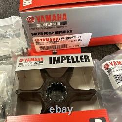 NOS Genuine OEM Yamaha Water Pump Repair Kit 68V-W0078-01-00