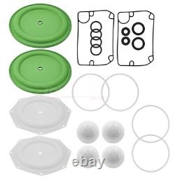 Pump Repair Kit for Ingersoll Rand ARO Diaphragm Pump 637309-TT E20A-FSS-STT-B00