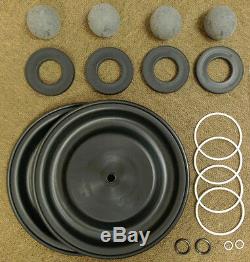 Repair Kit for Graco Husky 1590 1-1/2 Diaphragm Pump D0BGGG