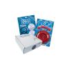 Sandpiper 476.042.354 Pump Repair Kit, Santoprene, For 15u527 39l615