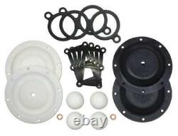 Sandpiper 476.117.600 Repair Kit, Ptfe, Fluid, For 1/4 In Pump