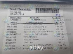 Sandpiper 476.129.000 Pump Repair Kit Nsmp