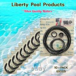 65005 s'adapte à Go-kit5 pour la réparation de la pompe Pac Fab Challenger Go Kit5 par Liberty lot de 10