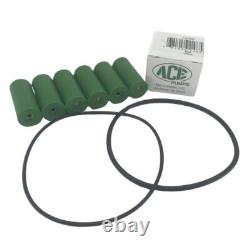 Kit de réparation de pompe ACE pour pompes à 6 rouleaux RP-600C contenant des joints, des rouleaux et des joints toriques.