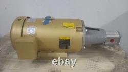 Kit de réparation de pompe Bailey International KIT-01 10 HP 230/460V