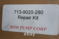 Kit de réparation de pompe à engrenages rotatifs Bsm 713-9020-280