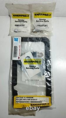 Kit de réparation de pompe hydraulique Enerpac Dc5211900k Patg OEM USA